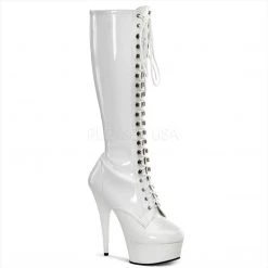 Pleaser Shoes 6